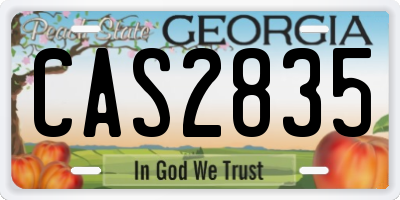 GA license plate CAS2835