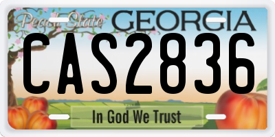 GA license plate CAS2836