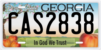 GA license plate CAS2838