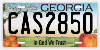 GA license plate CAS2850