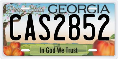 GA license plate CAS2852