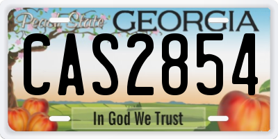 GA license plate CAS2854