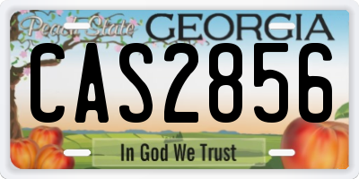 GA license plate CAS2856