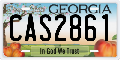 GA license plate CAS2861