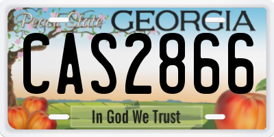 GA license plate CAS2866