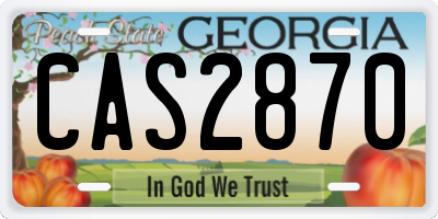 GA license plate CAS2870