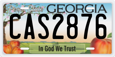 GA license plate CAS2876