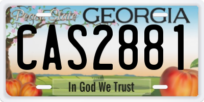 GA license plate CAS2881