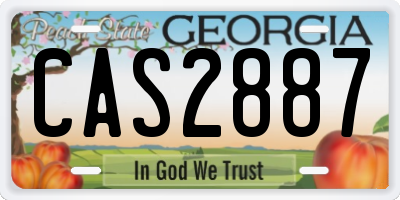 GA license plate CAS2887