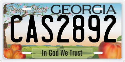 GA license plate CAS2892