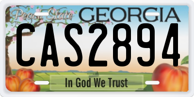 GA license plate CAS2894