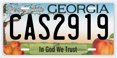 GA license plate CAS2919