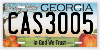GA license plate CAS3005