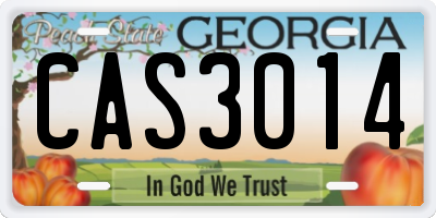 GA license plate CAS3014
