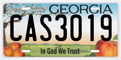 GA license plate CAS3019