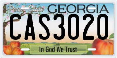 GA license plate CAS3020