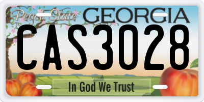 GA license plate CAS3028