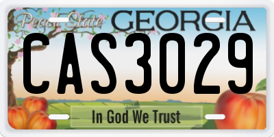 GA license plate CAS3029