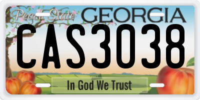 GA license plate CAS3038