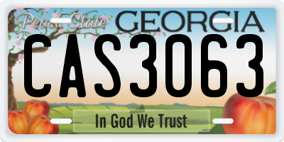 GA license plate CAS3063