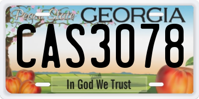GA license plate CAS3078