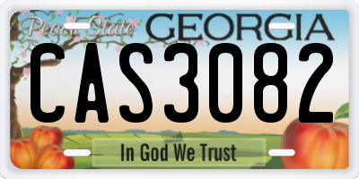 GA license plate CAS3082