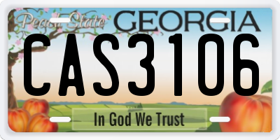 GA license plate CAS3106