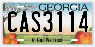 GA license plate CAS3114