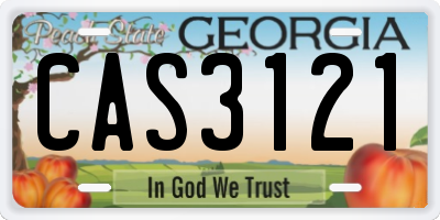 GA license plate CAS3121
