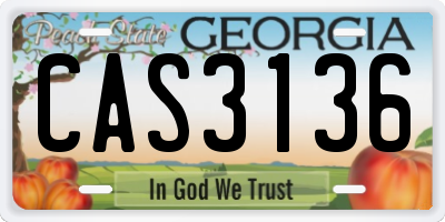 GA license plate CAS3136