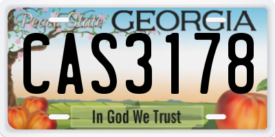 GA license plate CAS3178