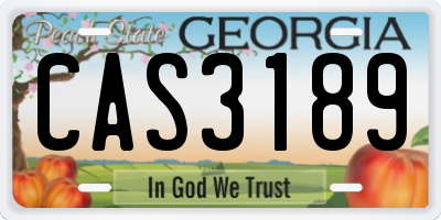 GA license plate CAS3189