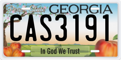 GA license plate CAS3191