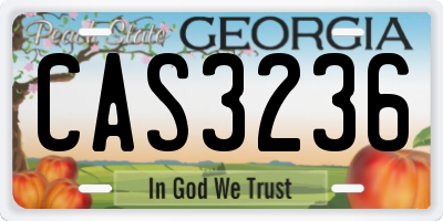 GA license plate CAS3236