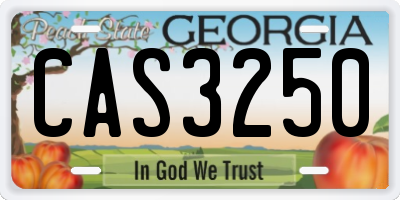 GA license plate CAS3250