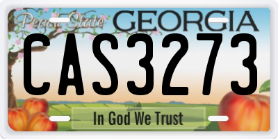 GA license plate CAS3273