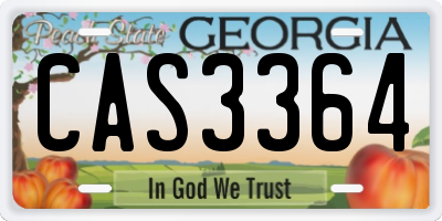 GA license plate CAS3364