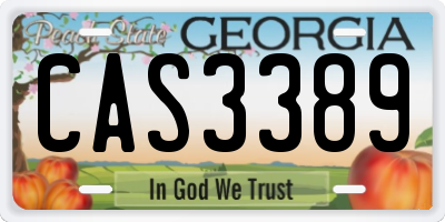 GA license plate CAS3389