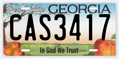 GA license plate CAS3417