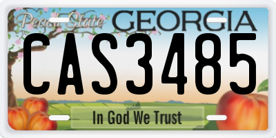 GA license plate CAS3485