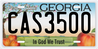 GA license plate CAS3500
