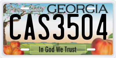 GA license plate CAS3504