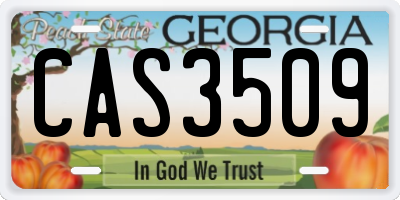 GA license plate CAS3509