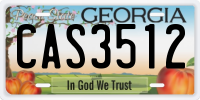 GA license plate CAS3512