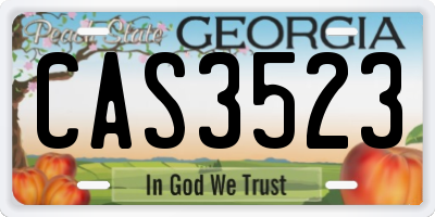 GA license plate CAS3523