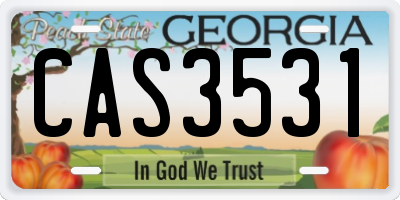 GA license plate CAS3531