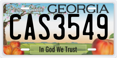 GA license plate CAS3549