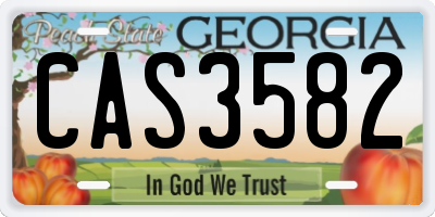 GA license plate CAS3582