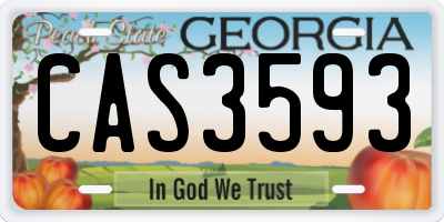 GA license plate CAS3593