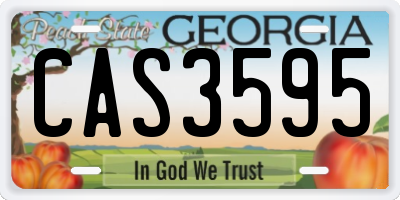 GA license plate CAS3595